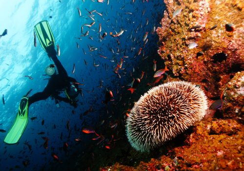 pexels-walter-torres-11533702-scaled