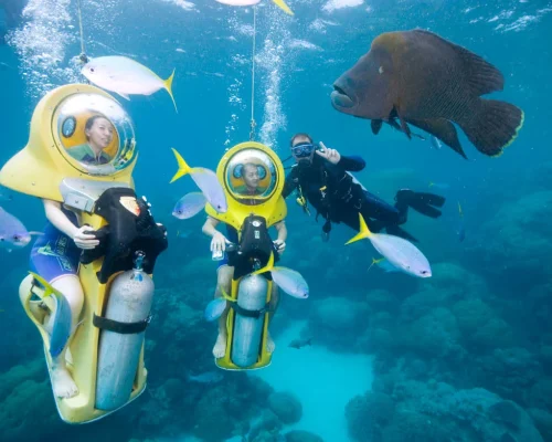 scuba-doo-outer-reef-3