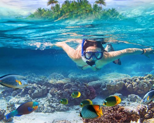snorkelling2